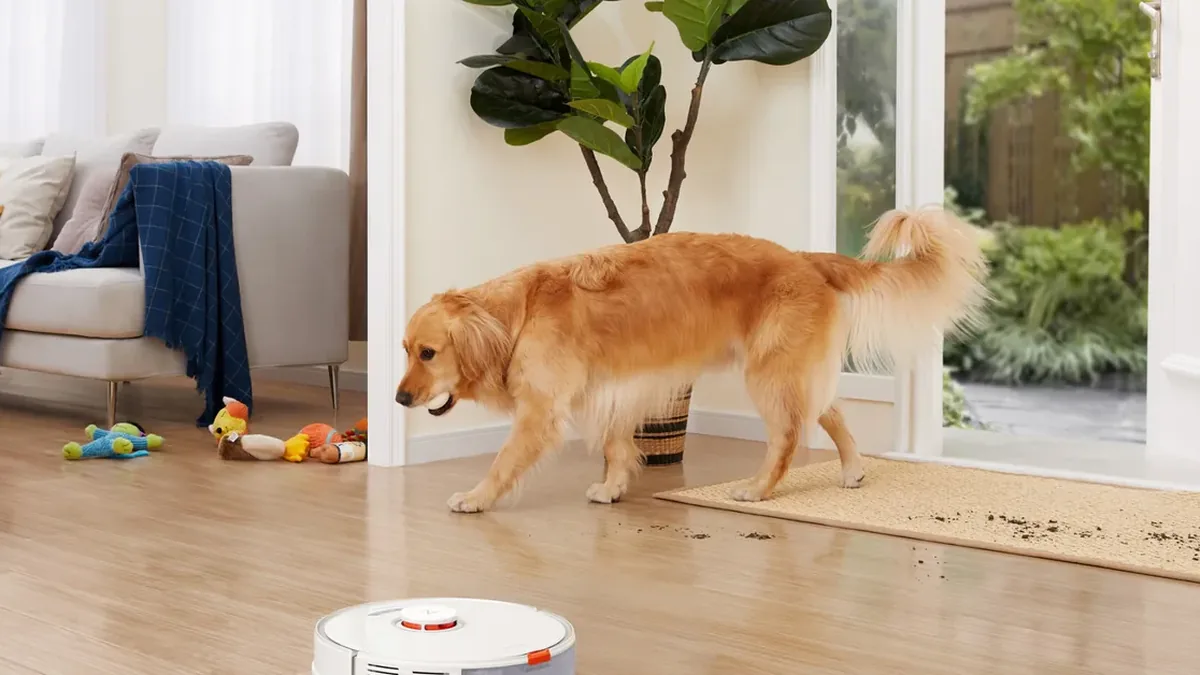 Aspirateur robot ramassant les salissures rapportées par un chien a l'entree du salon